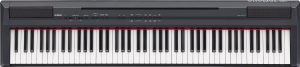 The Yamaha P-105